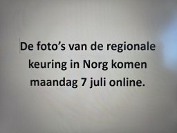 2025_07_05_Rk_Norg
